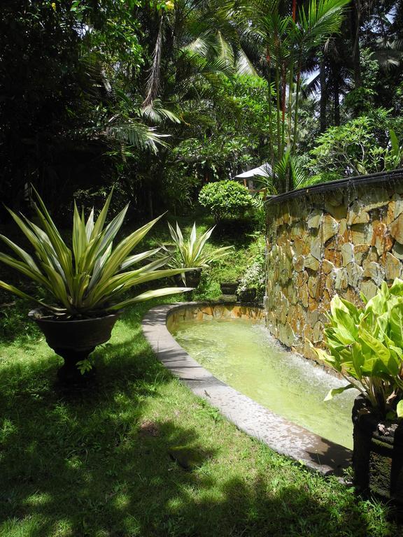 Villa Jineng Ubud By Basma Groups Dış mekan fotoğraf